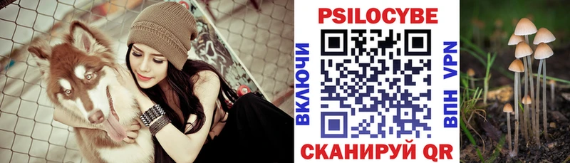 Галлюциногенные грибы Cubensis  купить закладку  Октябрьск 